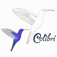Educational game connect dots to draw colibri bird
