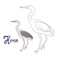 Educational game coloring book heron bird