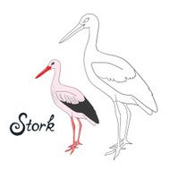 Educational game coloring book stork bird vector
