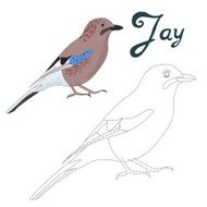 Educational game connect dots to draw jay bird