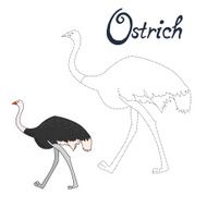Educational game connect dots to draw ostrich bird