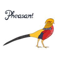 Bird pheasant vector illustration