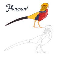 Educational game connect dots draw pheasant bird