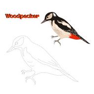 Educational game connect the dots to draw bird N7