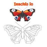 Educational game coloring book butterfly vector N4