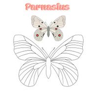 Educational game coloring book butterfly vector N5