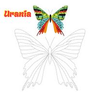 Educational game connect dots to draw butterfly N11