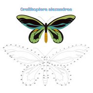 Educational game connect dots to draw butterfly N18