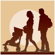 Family N36