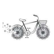 Concept illustration bike with dandelion Vector