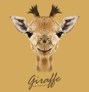 Vector Illustrative portrait of Giraffe