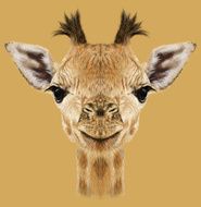 Illustrative portrait of Giraffe