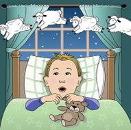 Counting Sheep N5