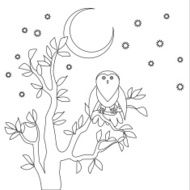 Cute vector owl