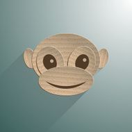 Little baby monkey