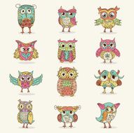 Owl Set