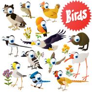 vector cartoon birds