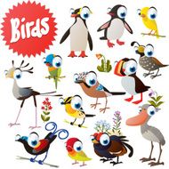 vector funny cartoon style birds