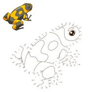 Draw the animal frog educational game vector illustration