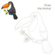 Draw the animal toucan educational game vector illustration N2