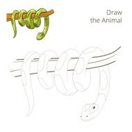 Draw the animal boa snake educational game vector illustration N2