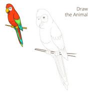 Draw the animal parrot educational game vector illustration