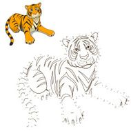 Draw the animal tiger educational game vector illustration N2
