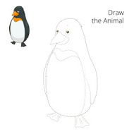 Learn to draw animal penguin vector illustration