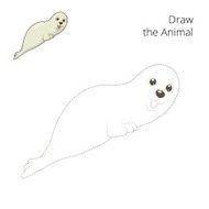 Learn to draw animal seal vector illustration