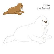 Learn to draw animal walrus vector illustration