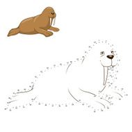 Learn to draw animal walrus vector illustration N2