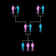 Human Family Tree