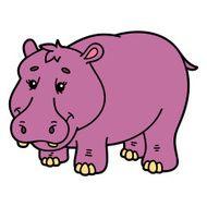 Cute hippopotamus