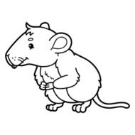 Cute vole N2