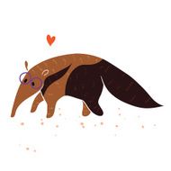 ant-eater on white background