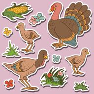 Farm animals set vector stickers with turkey family