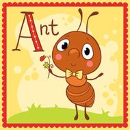 Illustrated alphabet letter A and ant
