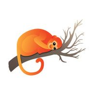 Vector Color Monkey Illustration