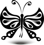 Butterfly stripes vector shadow
