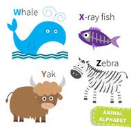 Letter W X Y Z Whale X-ray fish Yak Zebra