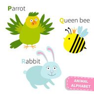 Letter P Q R Parrot Queen bee Rabbit Zoo alphabet