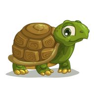 Cute cartoon turtle