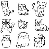 vector set of cat N2
