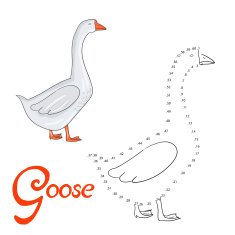 Educational game connect dots to draw goose bird N2