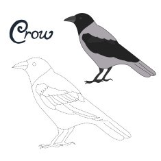 Educational game connect dots to draw crow bird
