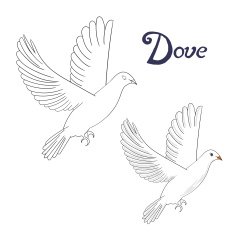 Educational game coloring book dove bird