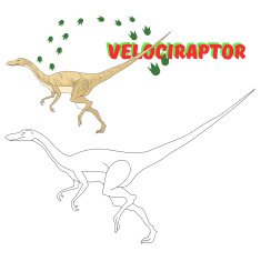 Educational game coloring book dinosaur vector N8