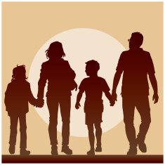 Family N26