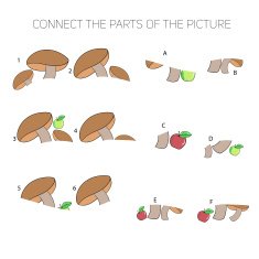 Educational game for children connect the parts