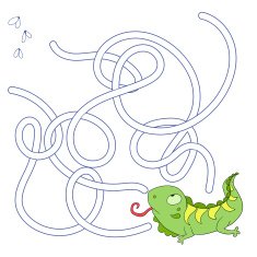 Layout for game labyrinth find a way iguana